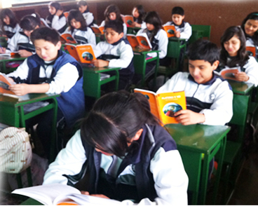 lector2